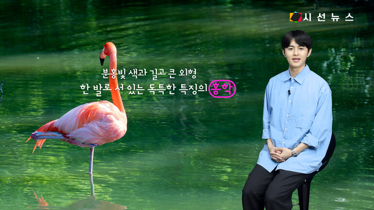 [사진출처 : 언스플래쉬, 픽셀스]