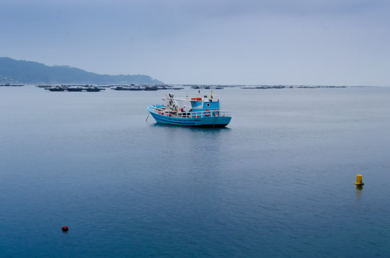 출처 - unsplash (위 사진은 기사와 무관합니다)