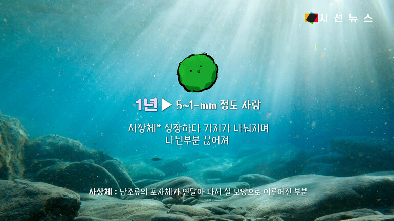 [사진출처 : 픽셀스, 언스플레쉬, 위키미디아, 위키피디아]