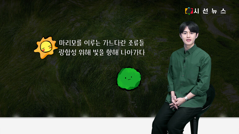 [사진출처 : 픽셀스, 언스플레쉬, 위키미디아, 위키피디아]