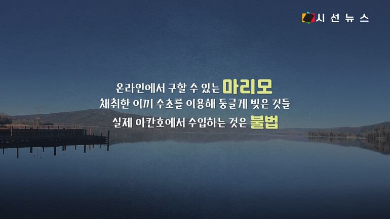 [사진출처 : 픽셀스, 언스플레쉬, 위키미디아, 위키피디아]