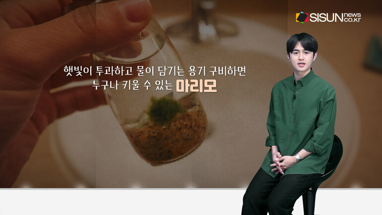 [사진출처 : 픽셀스, 언스플레쉬, 위키미디아, 위키피디아]