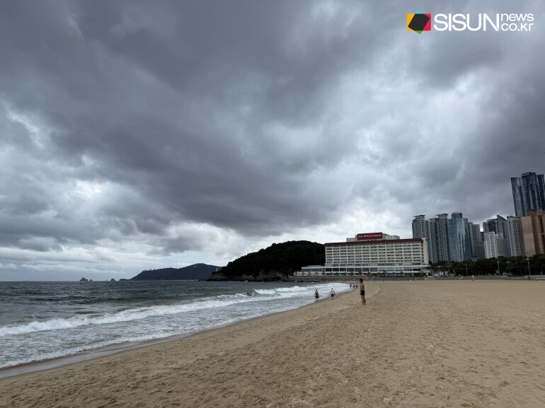 ⓒ지식교양 전문채널-시선뉴스