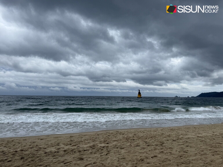 ⓒ지식교양 전문채널-시선뉴스