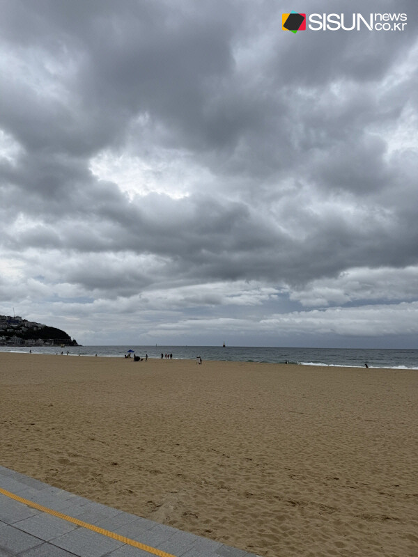 ⓒ지식교양 전문채널-시선뉴스