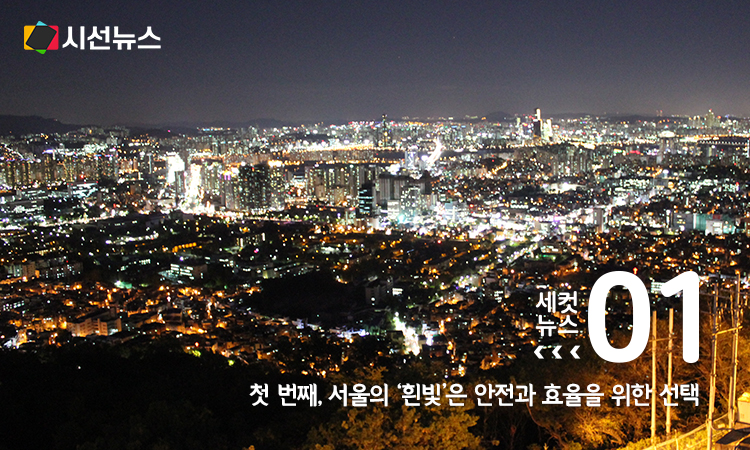 서울의 야경/플리커