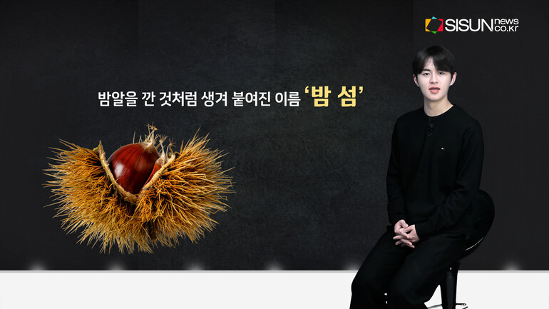 [출처 : 서울기록원, 서울연구데이터서비스, 람사르 습지 홈페이지, 영등포구 문화관광 홈페이지, 픽셀스, 언스플레쉬, 위키피디아]