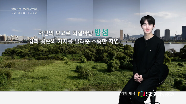 [출처 : 서울기록원, 서울연구데이터서비스, 람사르 습지 홈페이지, 영등포구 문화관광 홈페이지, 1969년 김수근 등이 입안한 여의도 도시계획도, 픽셀스, 언스플레쉬, 위키피디아]