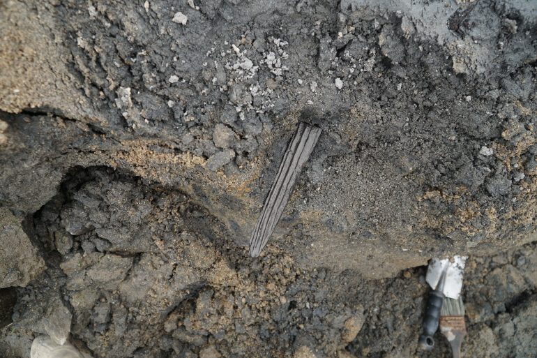 '기묘년' 글자가 적힌 목간 출토 당시 모습[양주시·기호문화유산연구원 제공. 재판매 및 DB 금지]