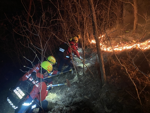 인제 산불 끄고 있는 진화대원[산림청 제공.재판매 및 DB 금지]