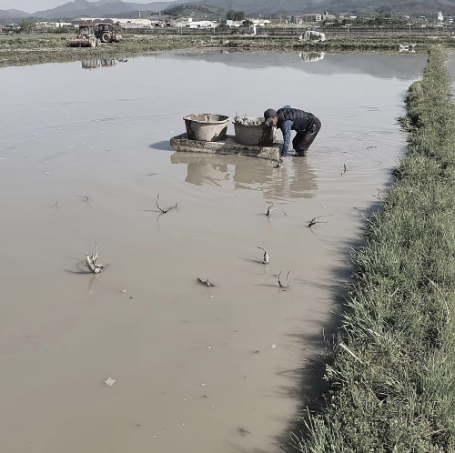 자료제공 / 채수담