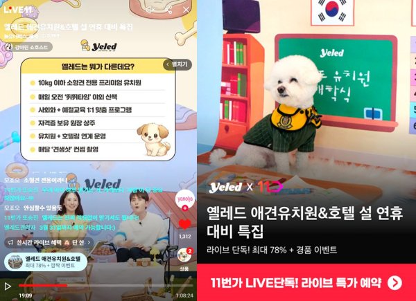 사진/옐레드 제공