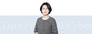 파이헬스케어, 법무법인 광장 채성희 변호사 사외이사 선임 - 뉴스 썸네일 이미지